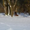 Bilder aus 2016