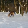 Bilder aus 2016