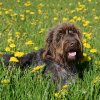Bilder aus 2016
