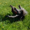 Bilder aus 2016