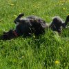 Bilder aus 2016