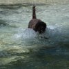 Bilder aus 2016