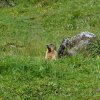 Bilder aus 2016