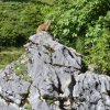 Bilder aus 2016