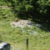 Bilder aus 2016