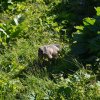 Bilder aus 2016