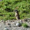 Bilder aus 2016