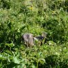 Bilder aus 2016