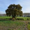 Bilder aus 2016
