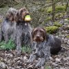 Bilder aus 2016