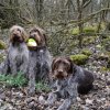 Bilder aus 2016