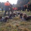 Jagd Sternfeld 2016