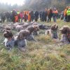 Jagd Sternfeld 2016