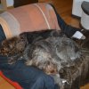 Kuscheltime