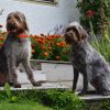 Urlaub 2016