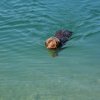 Urlaub 2016