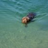 Urlaub 2016