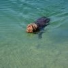 Urlaub 2016