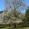 Frühling 2017