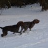 Baja im Schnee