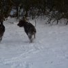 Baja im Schnee